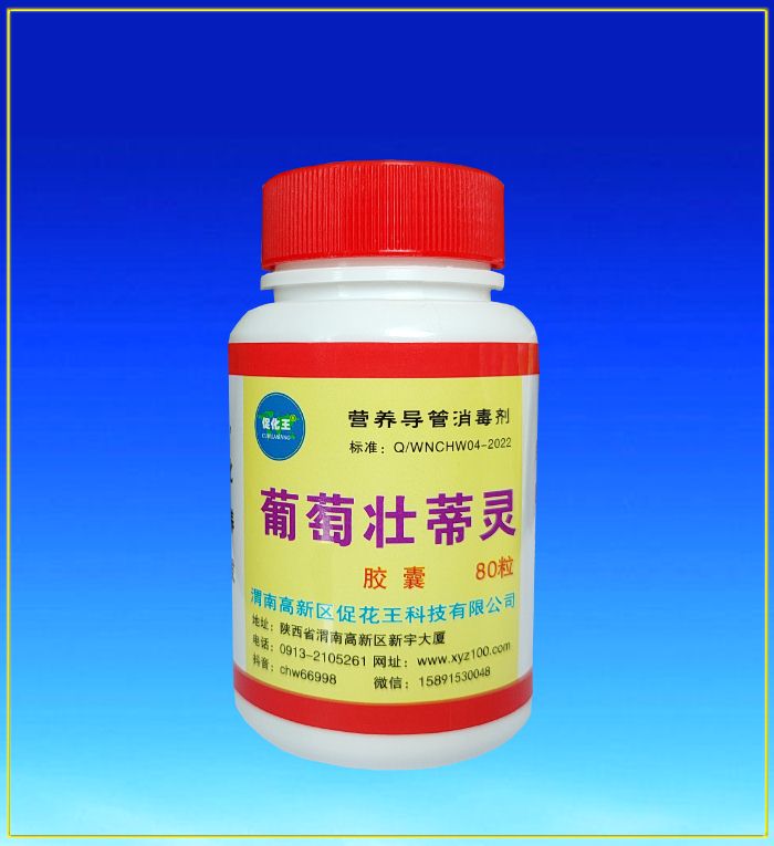 葡萄.jpg 葡萄.jpg